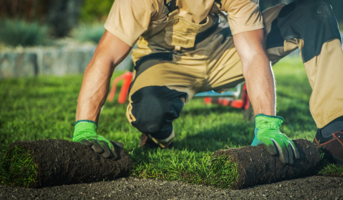 Artificial Turf Installation